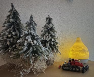Aroma Diffuser «Schweizer Panorama»